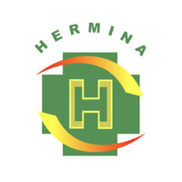 Hermina Hospital Group