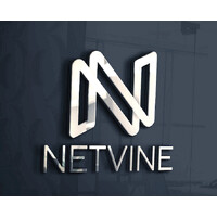 Netvine IT Solutions GmbH